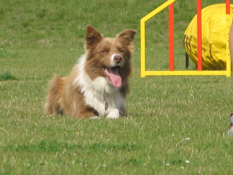 tabor 23 003.jpg