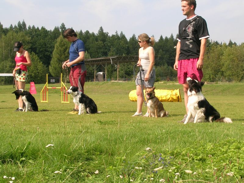 DSCN4449.JPG