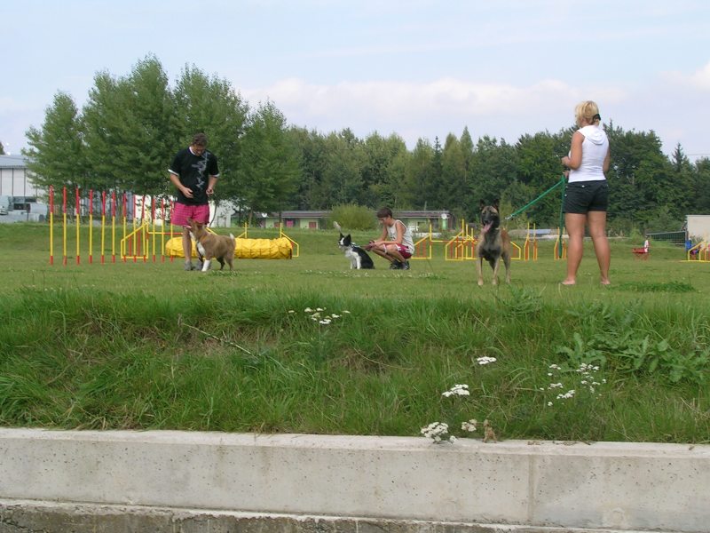 DSCN4457.JPG